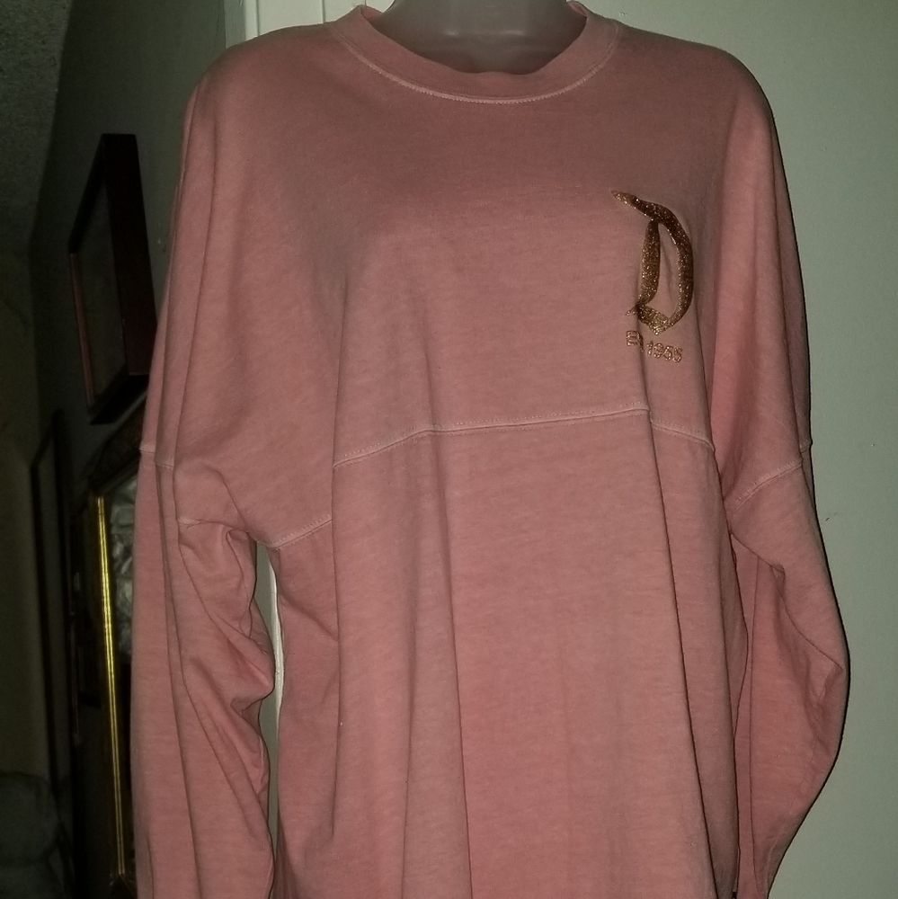 Pink Disneyland Spirit jersey